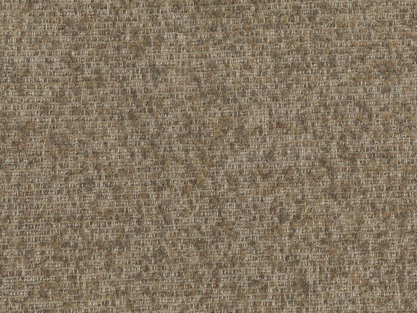 Micadoni Stauraumbett mit Kopfteil Martina Boucle Monet Cappuccino 140x200