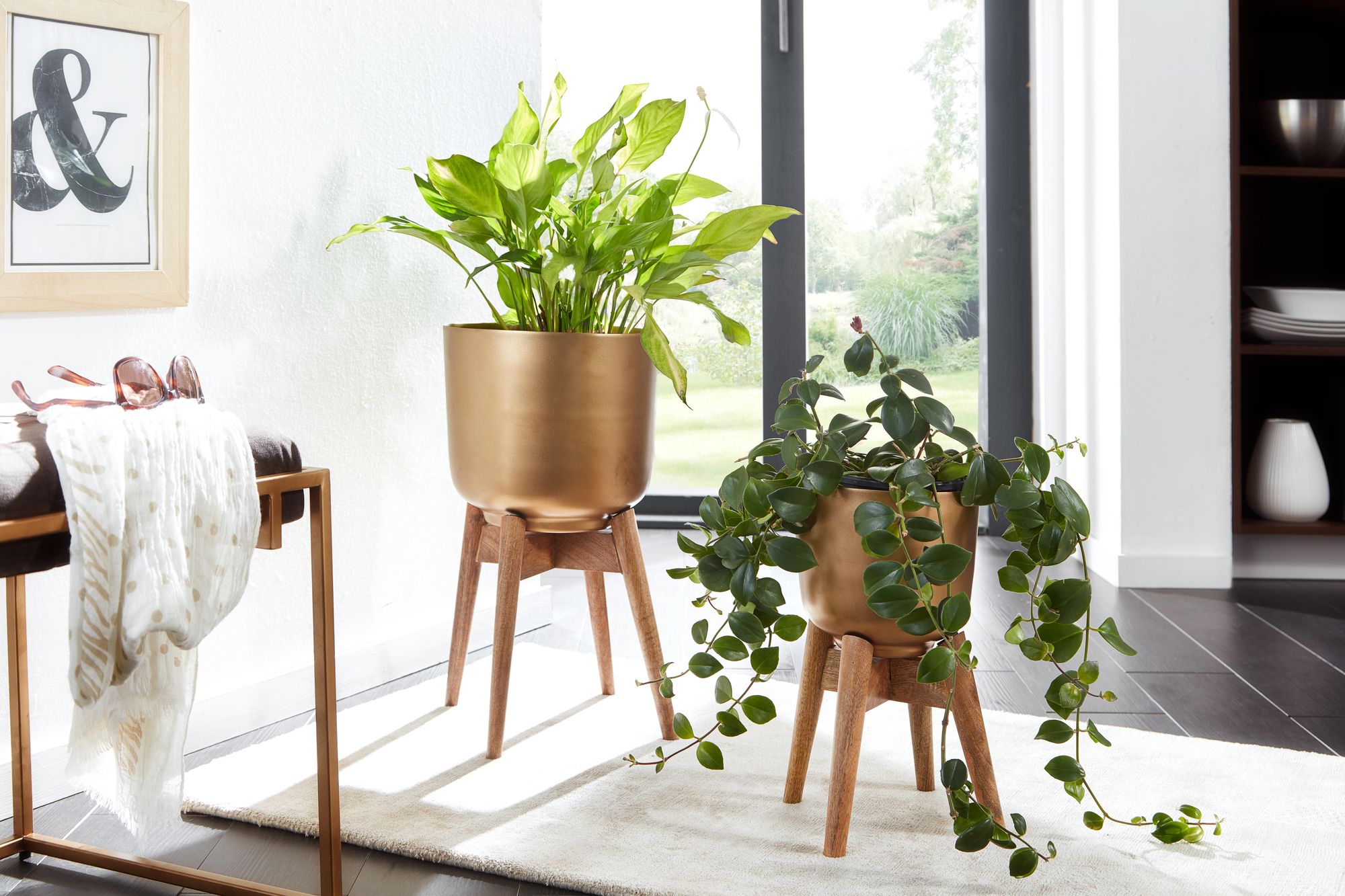 Blumentopf Surtsey Mango Massivholz Gold