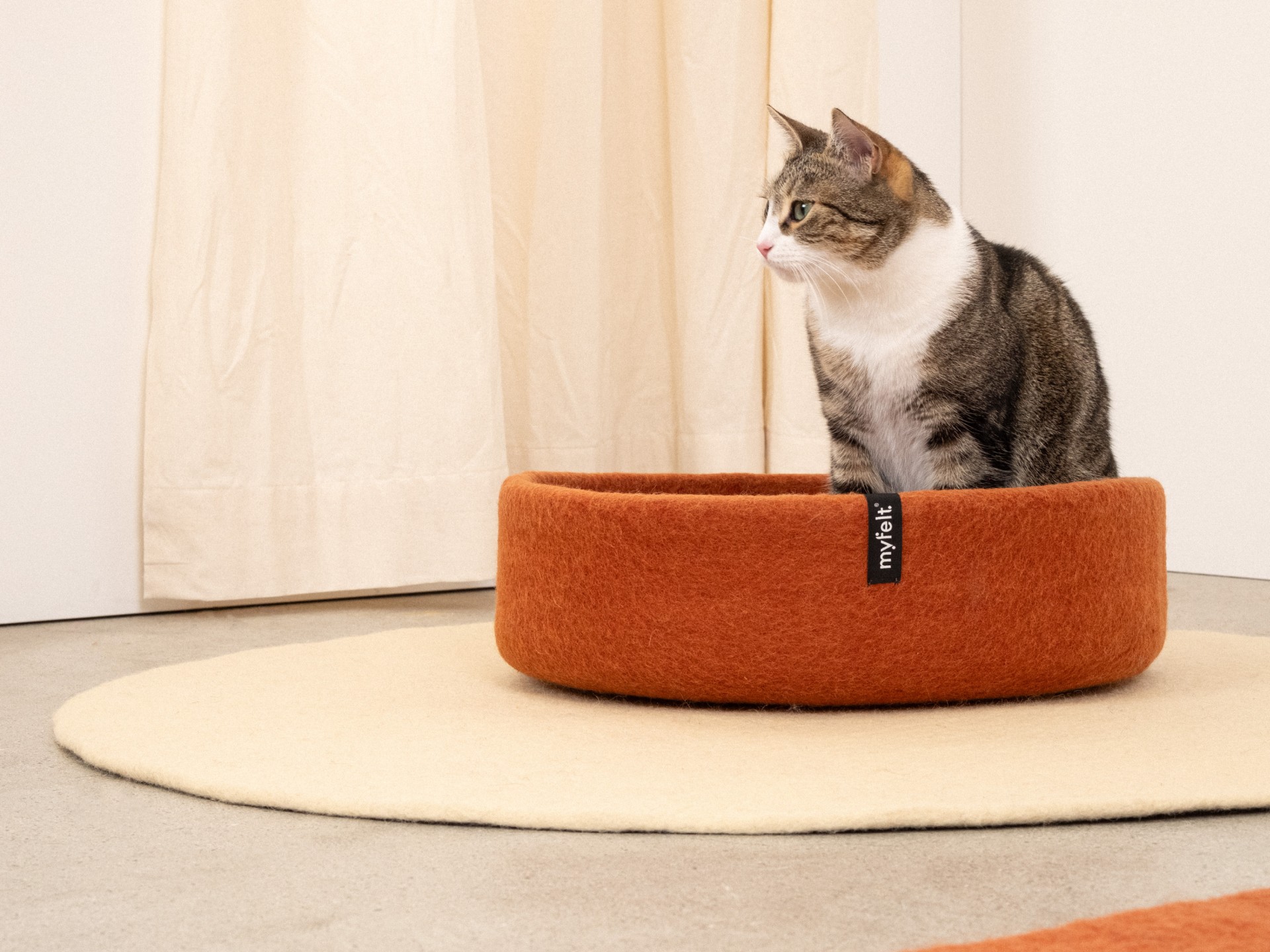 myfelt Lora Katzenkorb - Inlay Ockergelb