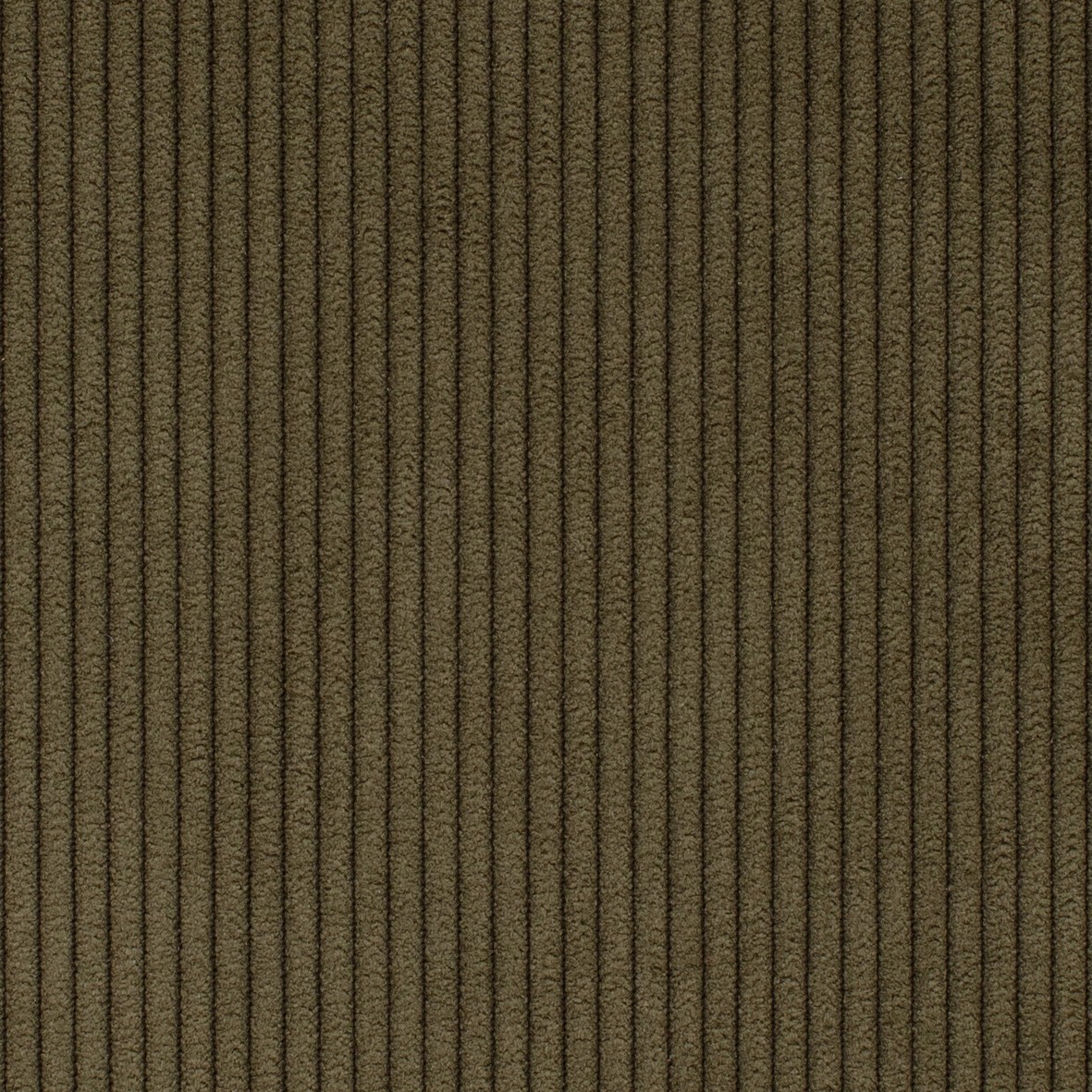 Kord Cordufine · 316-Pine-Green