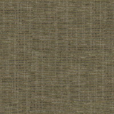 Baltimore – Olive