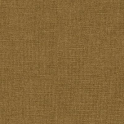 Wind – Helles Olive